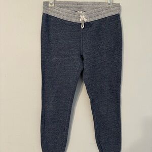 WomenNavy Blue Jogger Pants